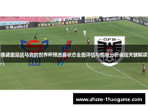 佩德里迎战马竞的世界杯预选赛状态全面评估与前景分析表现关键解读