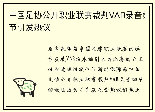 中国足协公开职业联赛裁判VAR录音细节引发热议