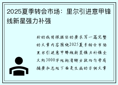 2025夏季转会市场：里尔引进意甲锋线新星强力补强